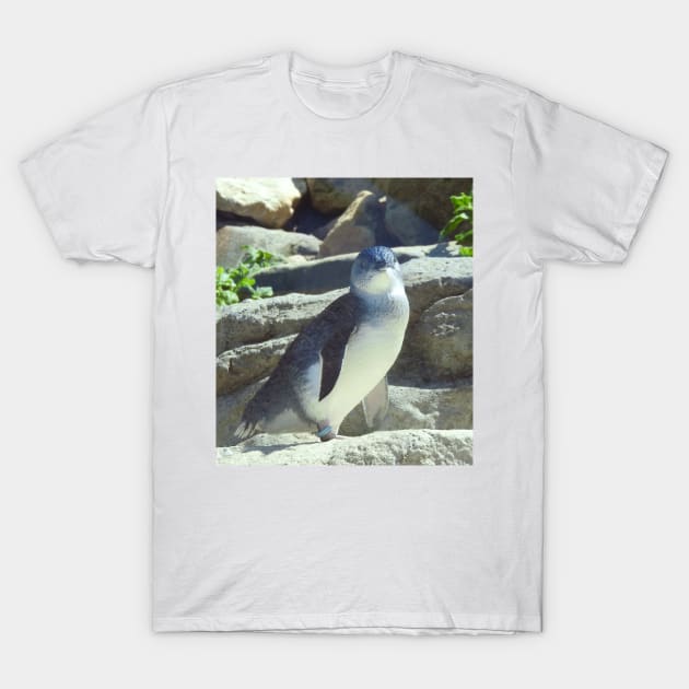 Little Penguin T-Shirt by kirstybush